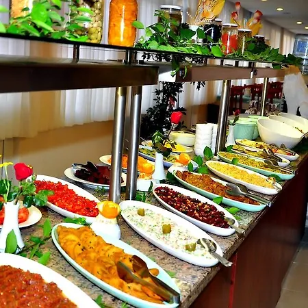 Cinar Family فندق